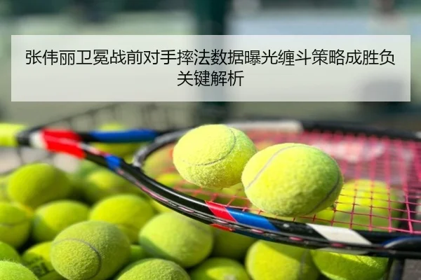 张伟丽卫冕战前对手摔法数据曝光缠斗策略成胜负关键解析